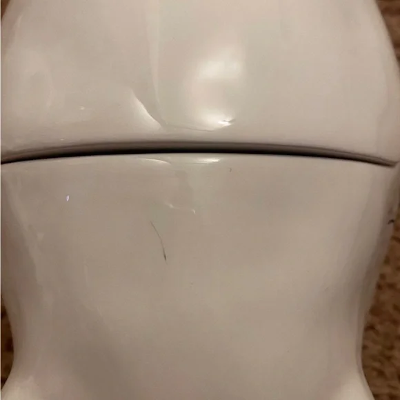 Rae Dunn Oink Canister